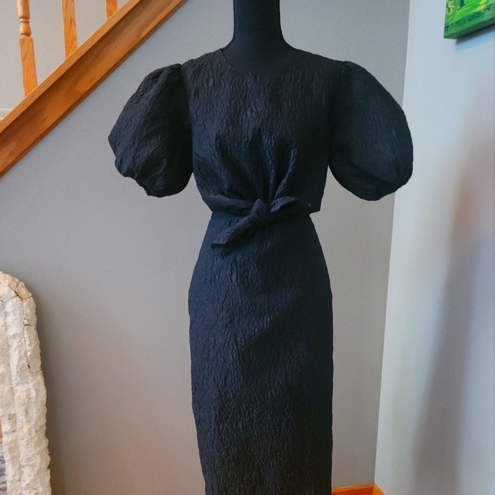 J. Crew Collection cutout dress in textured organza